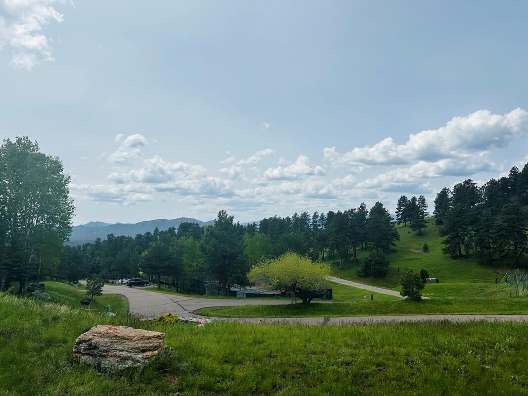 The Preserve Community